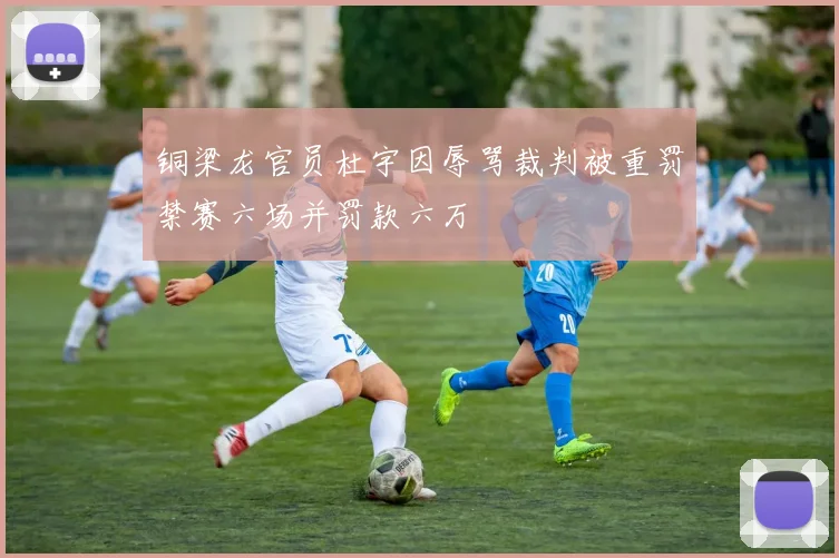 铜梁龙官员杜宇因辱骂裁判被重罚禁赛六场并罚款六万